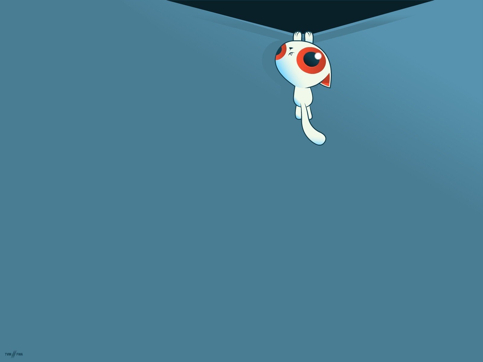 Kitty, Kittens Wallpaper