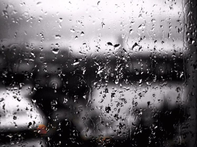 water drops, Window HD Wallpaper Desktop Background