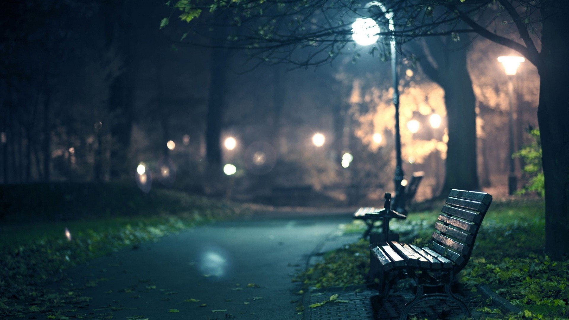 night, Bench, Park Wallpaper