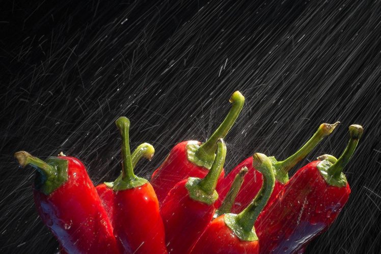 water, Macro, Pepper HD Wallpaper Desktop Background