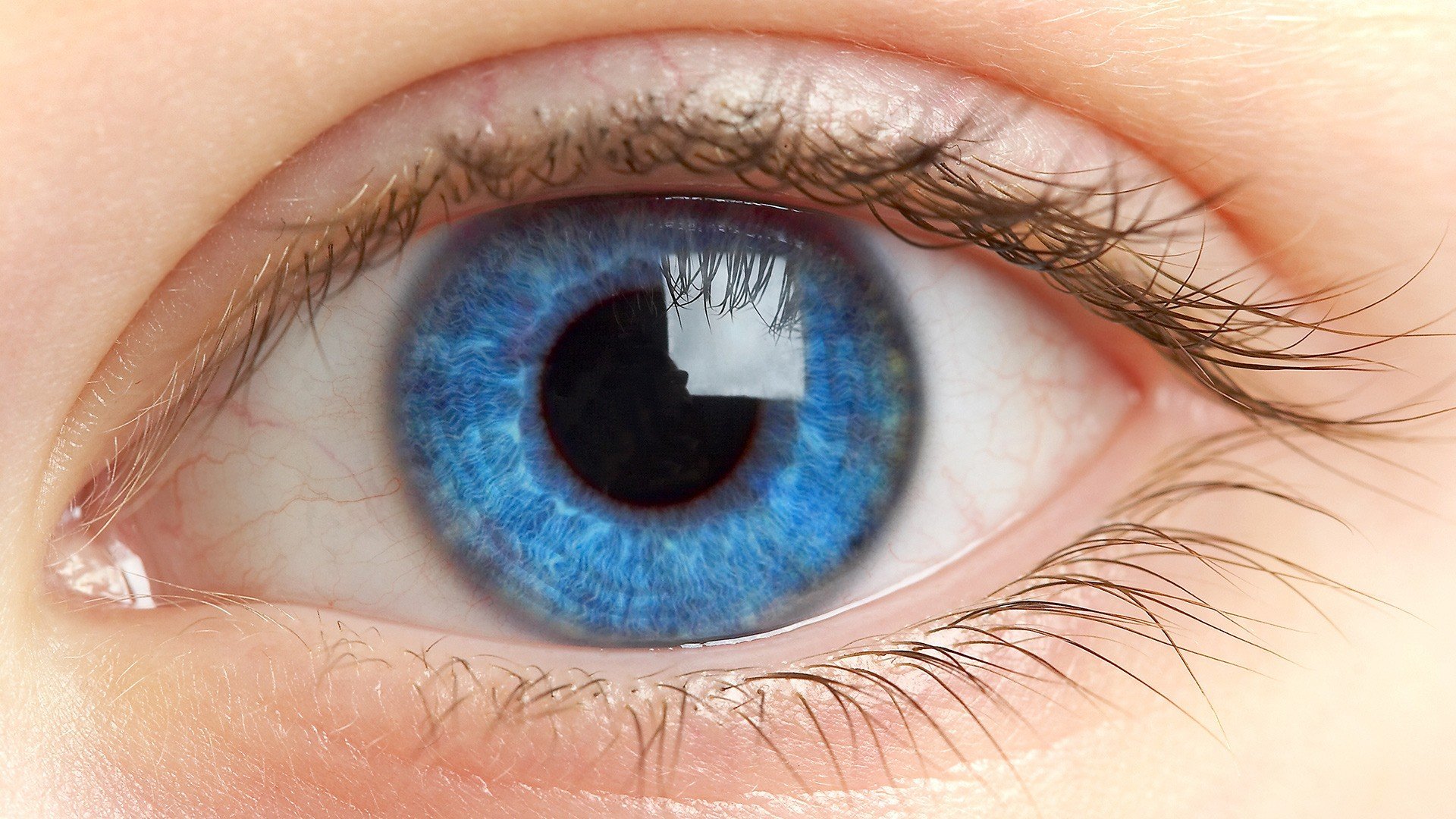 eyes, Blue eyes, Retina, Pupil Wallpaper