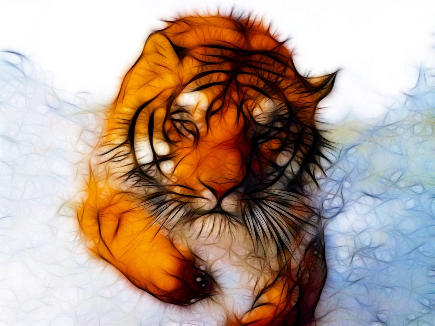 tiger Wallpaper