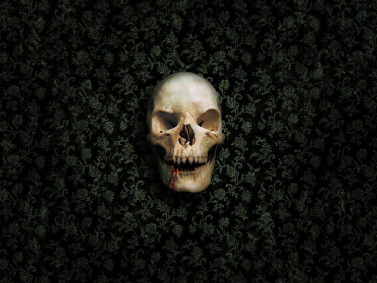 skull, Death, Vampires, Spooky, Gothic HD Wallpaper Desktop Background