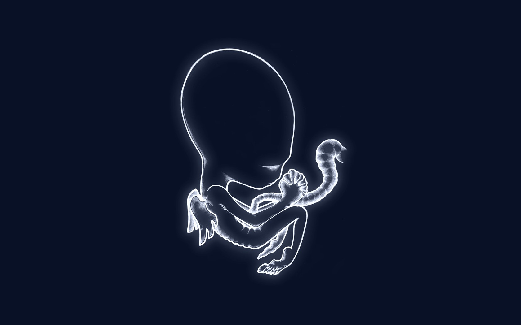Sigur Rós Wallpaper