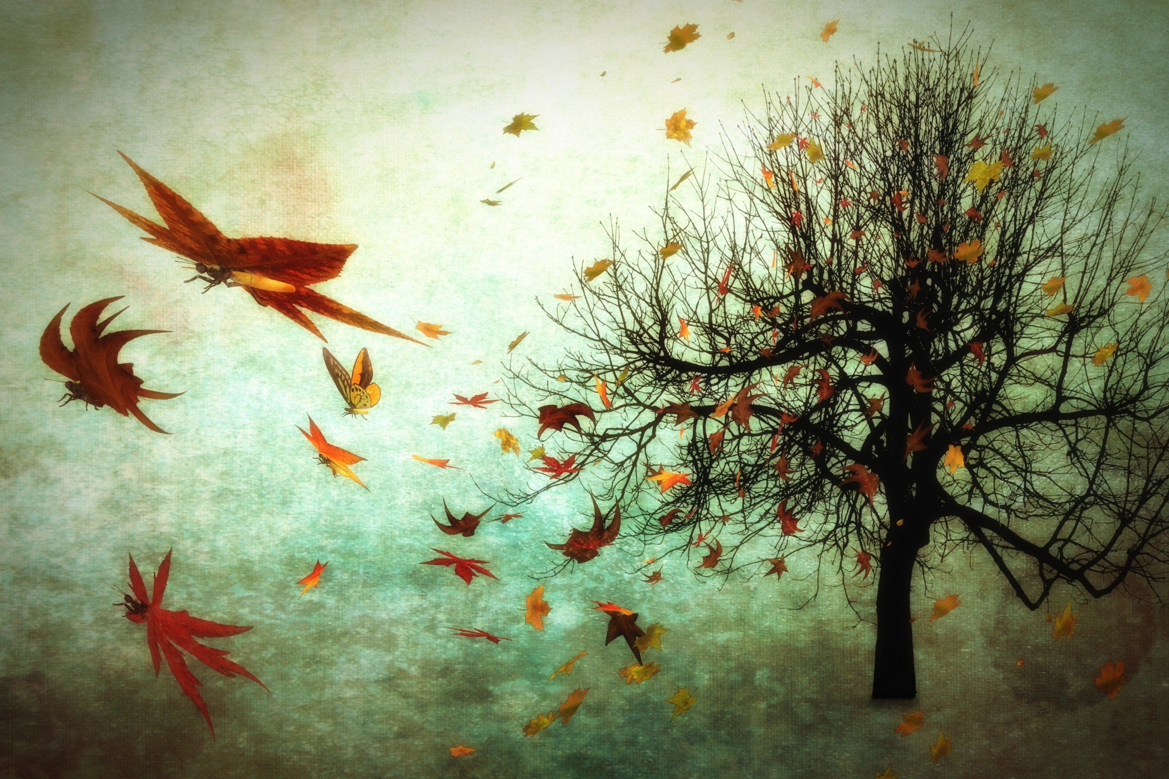 photo manipulation, Fall, Trees Wallpaper
