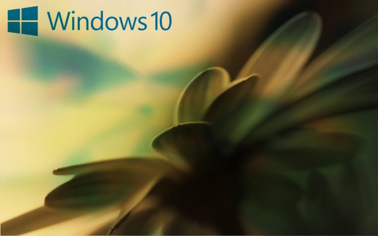 window, Windows 10, Microsoft Windows, Windows Vista, Windows XP, MS DOS HD Wallpaper Desktop Background