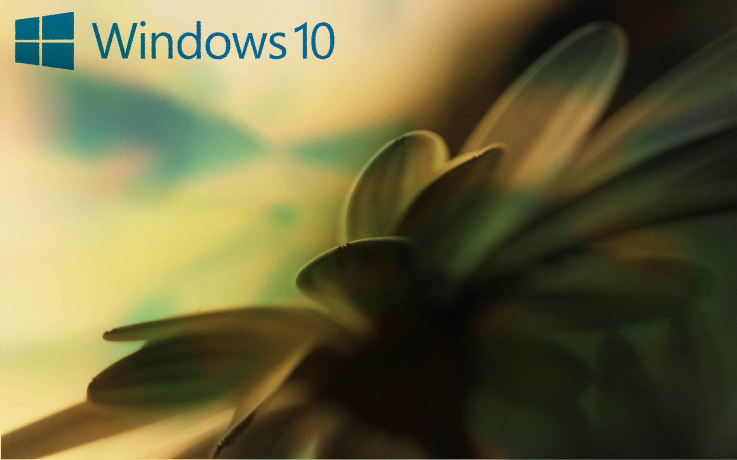 window, Windows 10, Microsoft Windows, Windows Vista, Windows XP, MS DOS Wallpaper