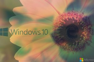 window, Microsoft Windows, Windows 10, MS DOS, Windows XP, Windows Vista