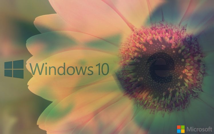 window, Microsoft Windows, Windows 10, MS DOS, Windows XP, Windows Vista HD Wallpaper Desktop Background