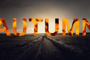fall, Seasons, Text