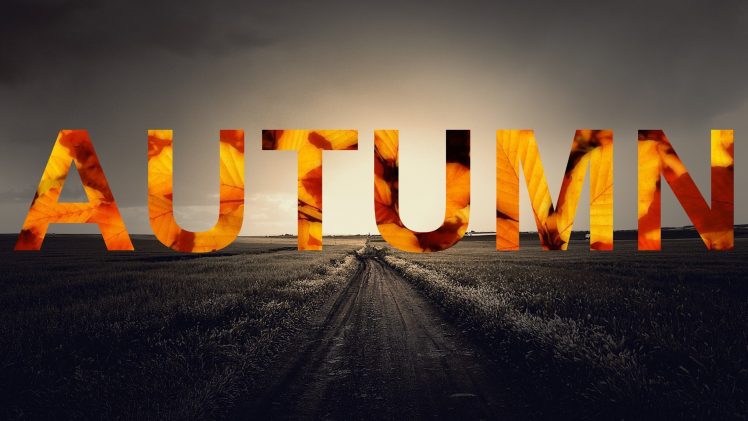 fall, Seasons, Text HD Wallpaper Desktop Background