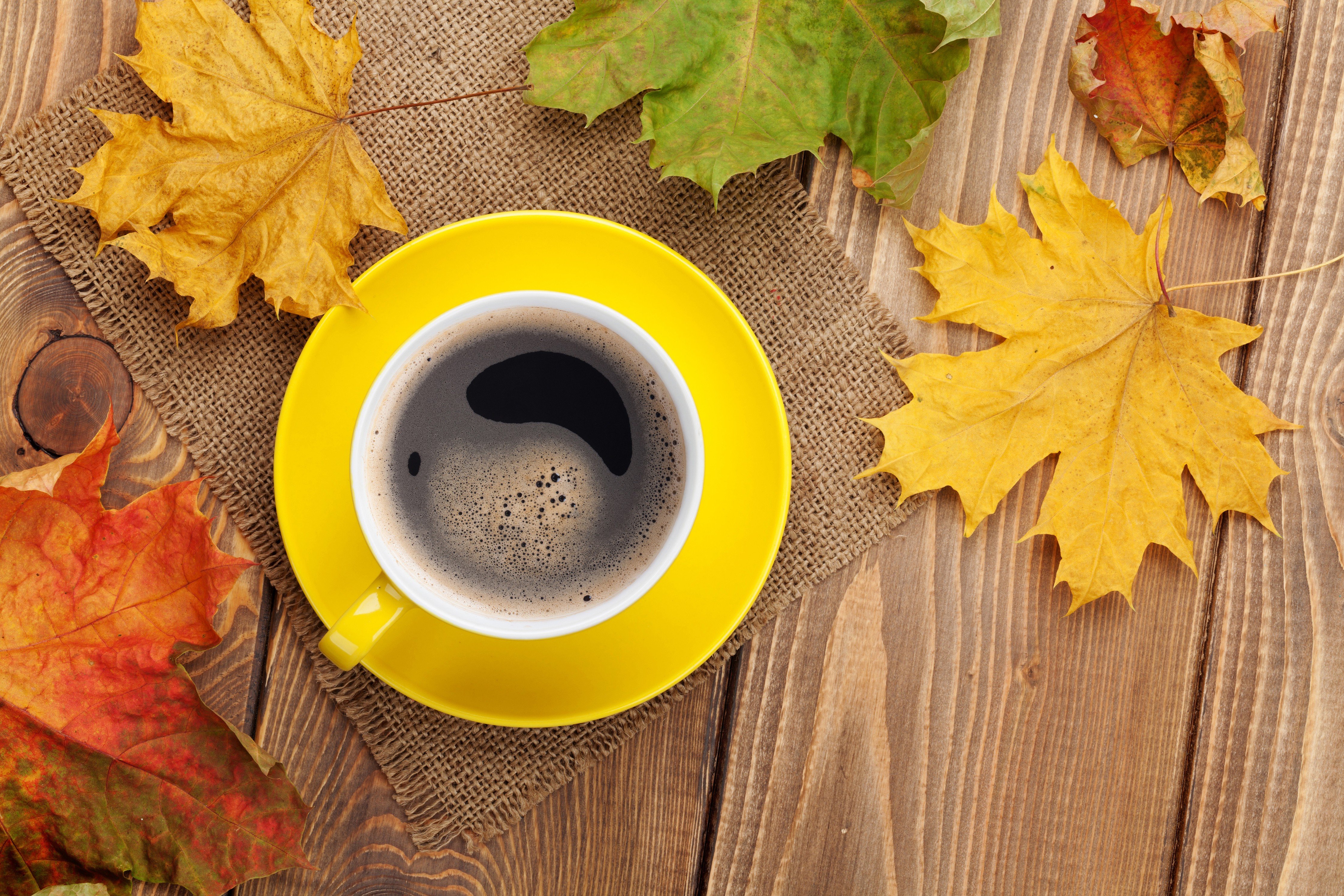 fall, Maple leaves, Mugs, Coffee, Table Wallpaper