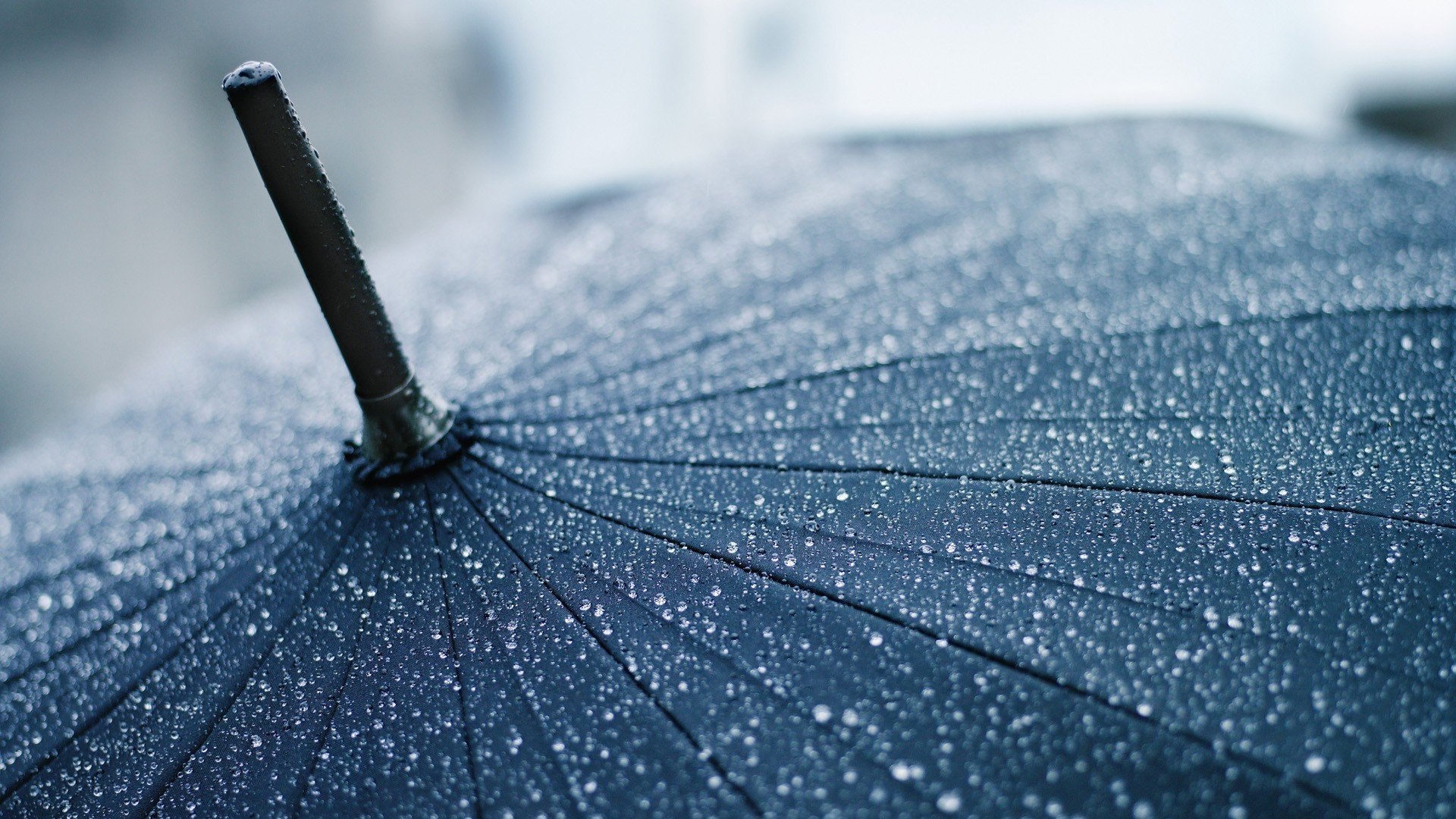 umbrella, Rain, Water drops, Closeup, Depth of field, Lines Wallpaper