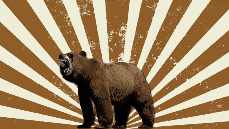 bears, Sun rays HD Wallpaper Desktop Background