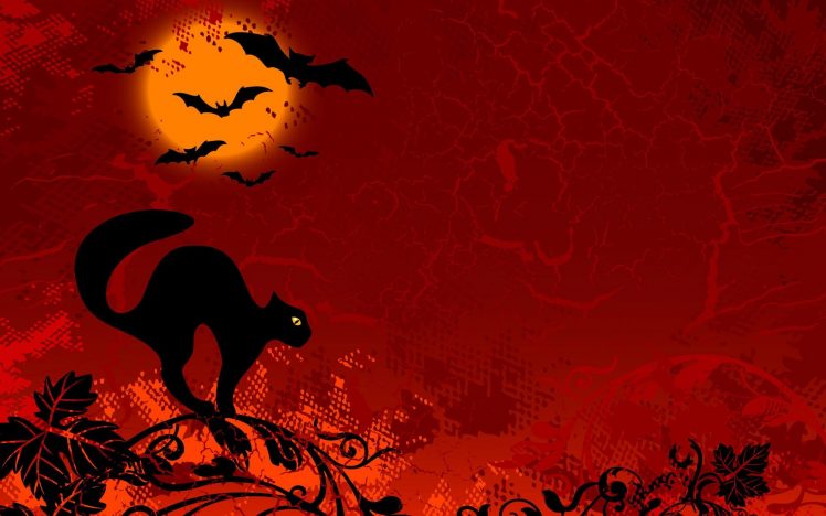 Halloween, Black cats HD Wallpaper Desktop Background