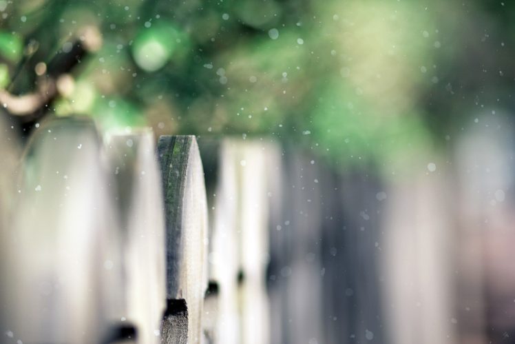 fence, Depth of field, Bokeh, Blurred HD Wallpaper Desktop Background