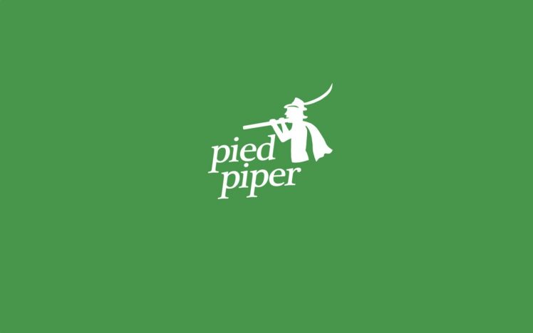 Pied Piper Silicon Valley Hbo Wallpapers Hd Desktop
