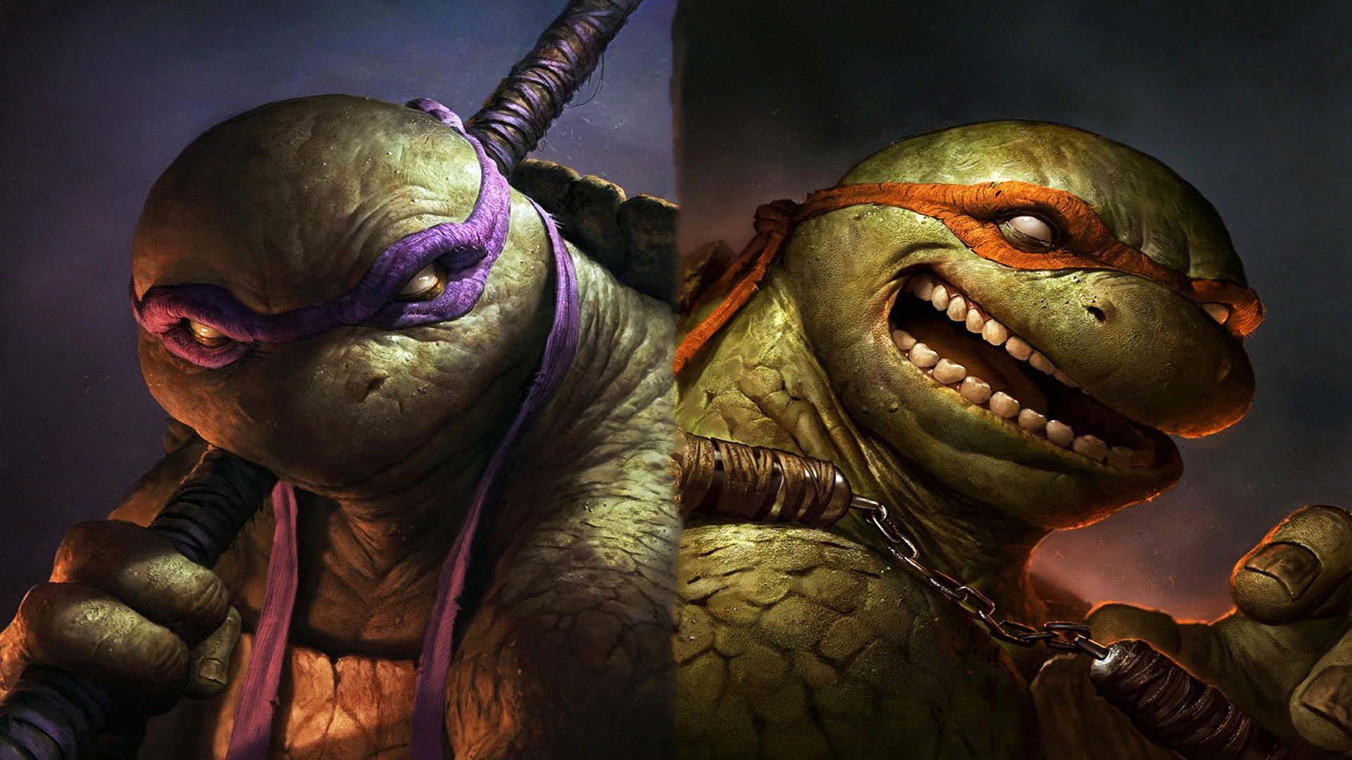 Teenage Mutant Ninja Turtles, Donatello, Raphael Wallpaper