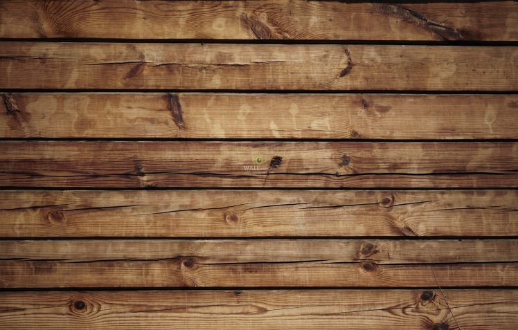 Tường gỗ: Tường gỗ là một giải pháp hoàn hảo cho những người yêu thích thiết kế nội thất đơn giản và hiện đại. Hình ảnh tường gỗ bền đẹp và đa dạng được thể hiện qua từng bức hình, cho bạn thấy sự đa dạng và sáng tạo trong trang trí nhà cửa.