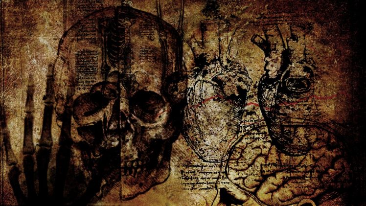grunge, Skull HD Wallpaper Desktop Background