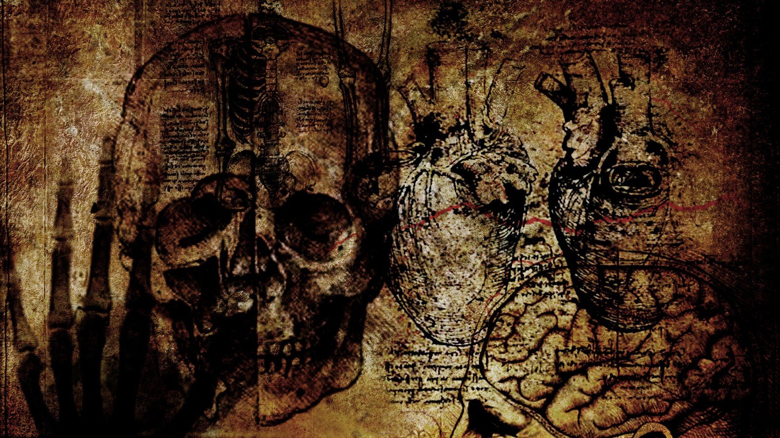 grunge, Skull Wallpaper