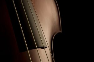 cello, Musical instrument