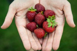 hand, Strawberries, Fruit