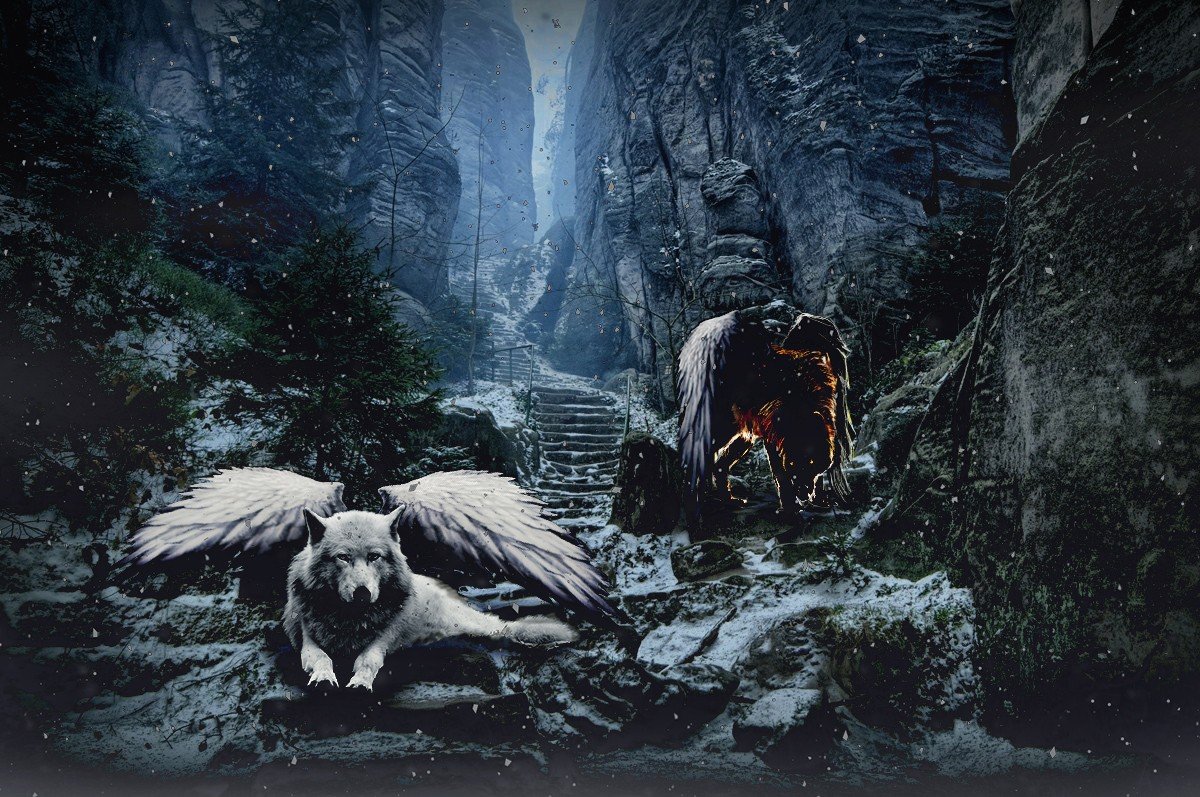 wolf, Snow, Angel, Demon Wallpaper