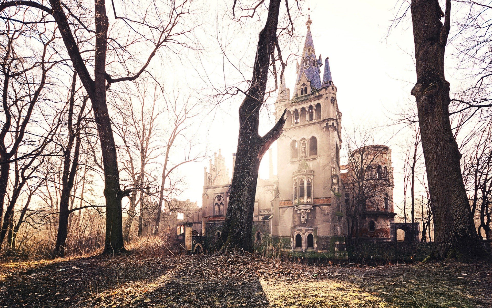 old, Old building, Architecture, Trees, Gothic architecture, Abandoned Wallpaper