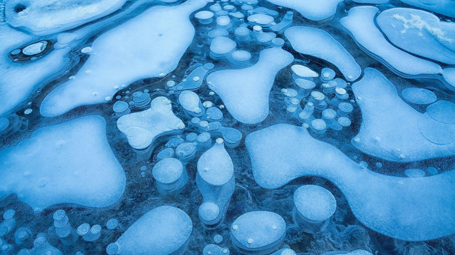 ice Wallpaper