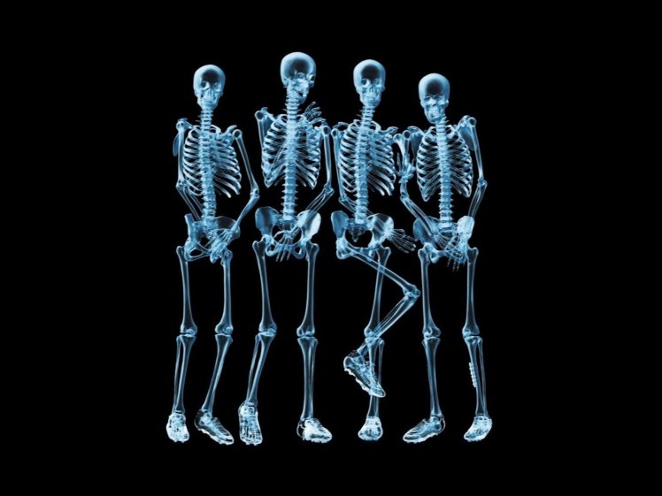 x rays, Skeleton HD Wallpaper Desktop Background
