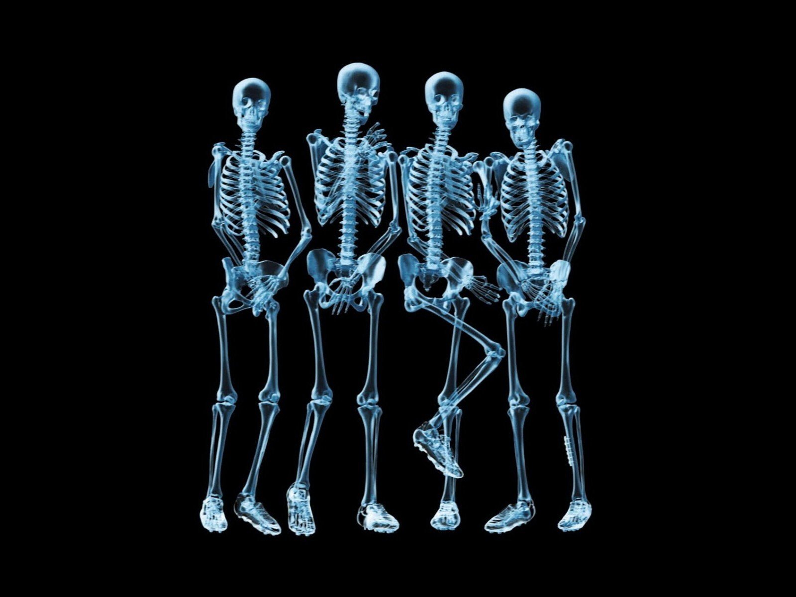 x rays, Skeleton Wallpaper