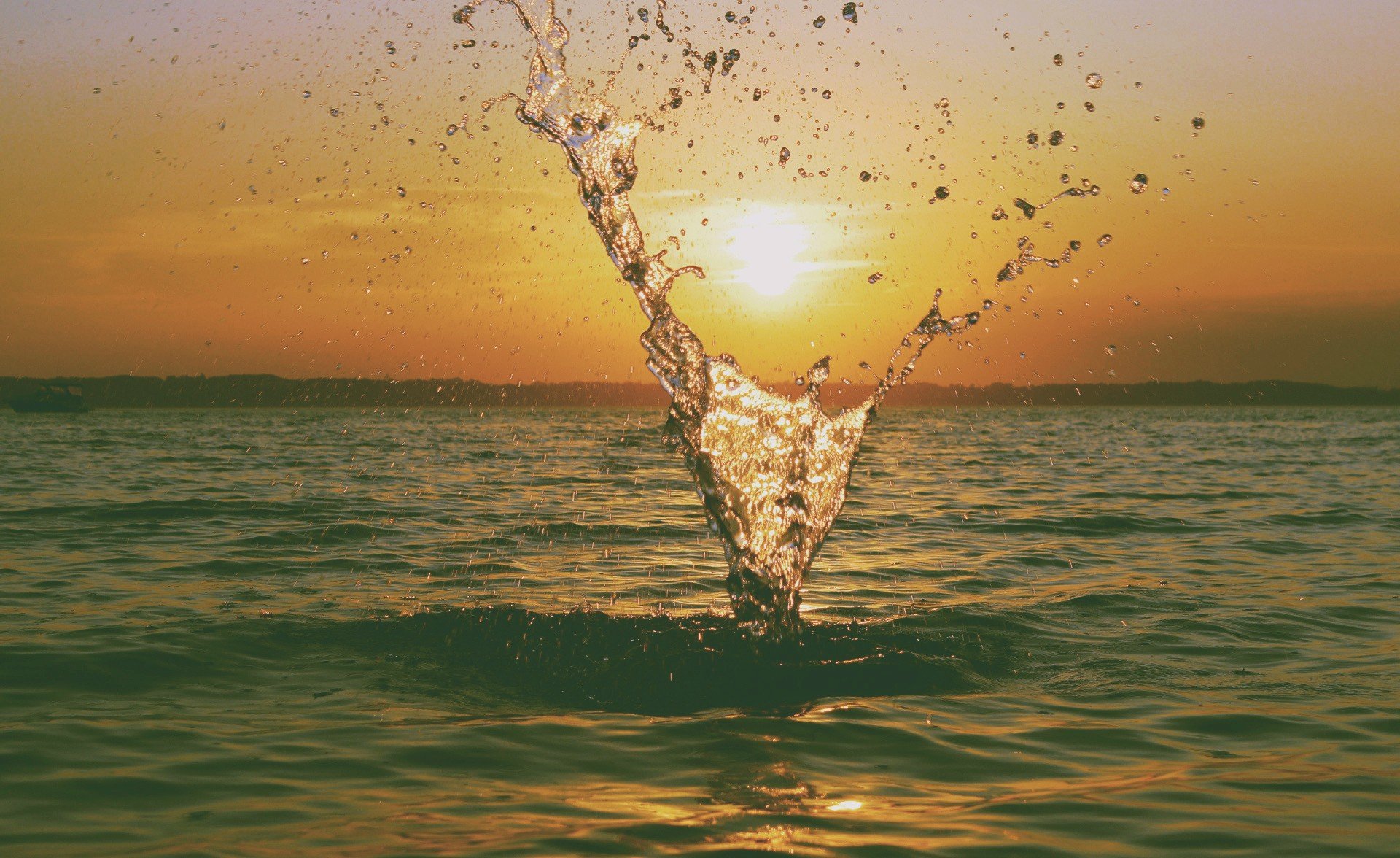 Sun, Water, Summer Wallpaper