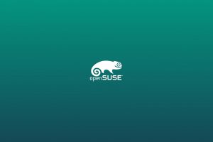 openSUSE, Linux, OpenSUSE Leap, Gecko