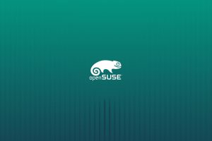 openSUSE, Linux