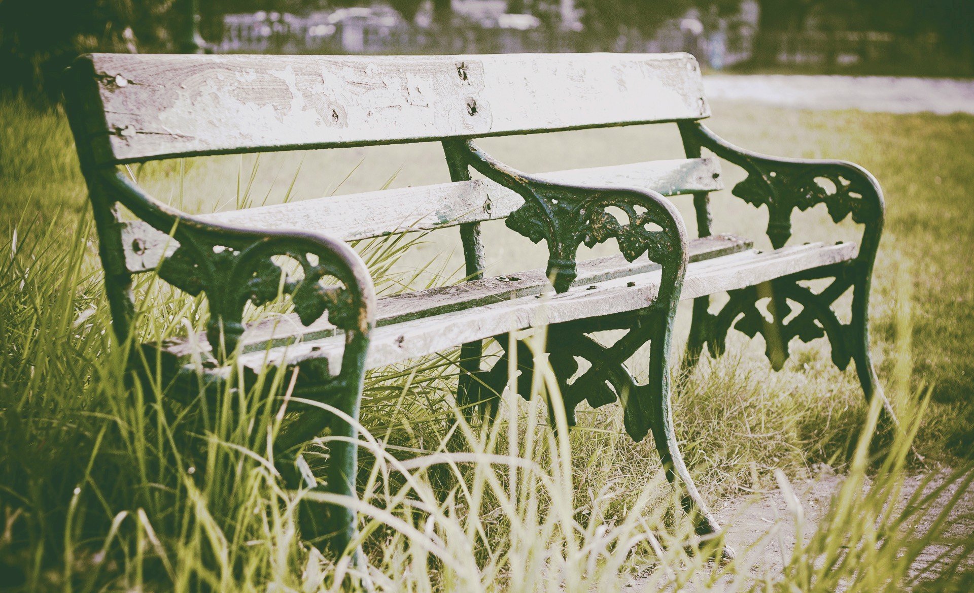 photography Wallpaper