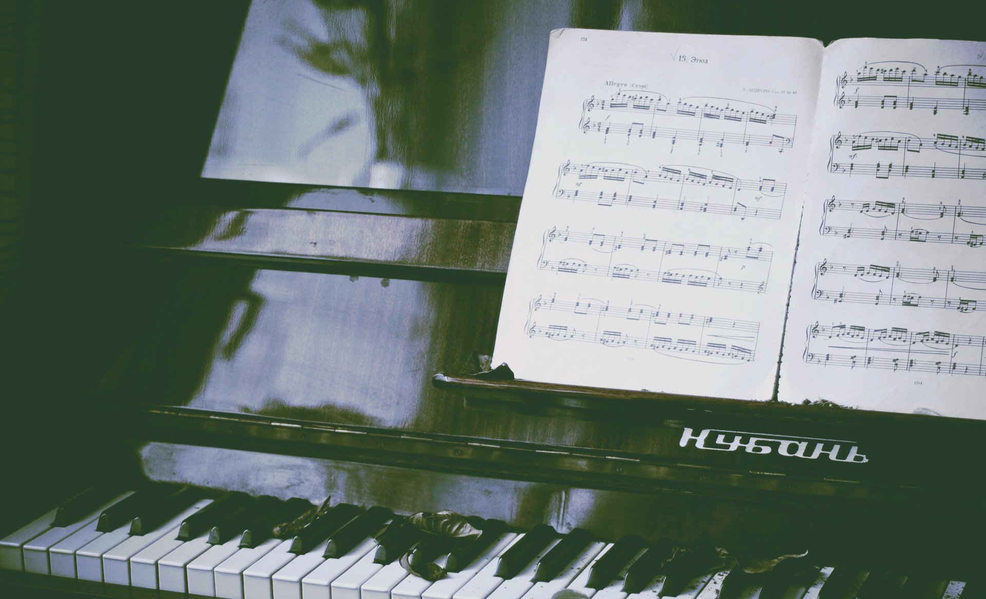 photography Wallpaper