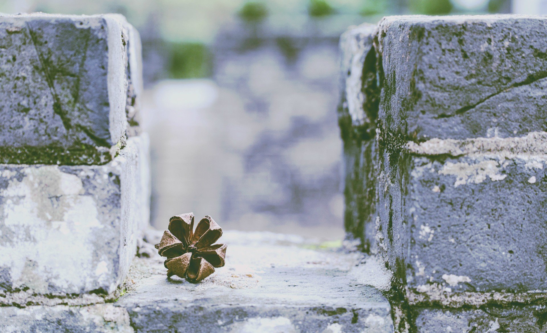 photography Wallpaper