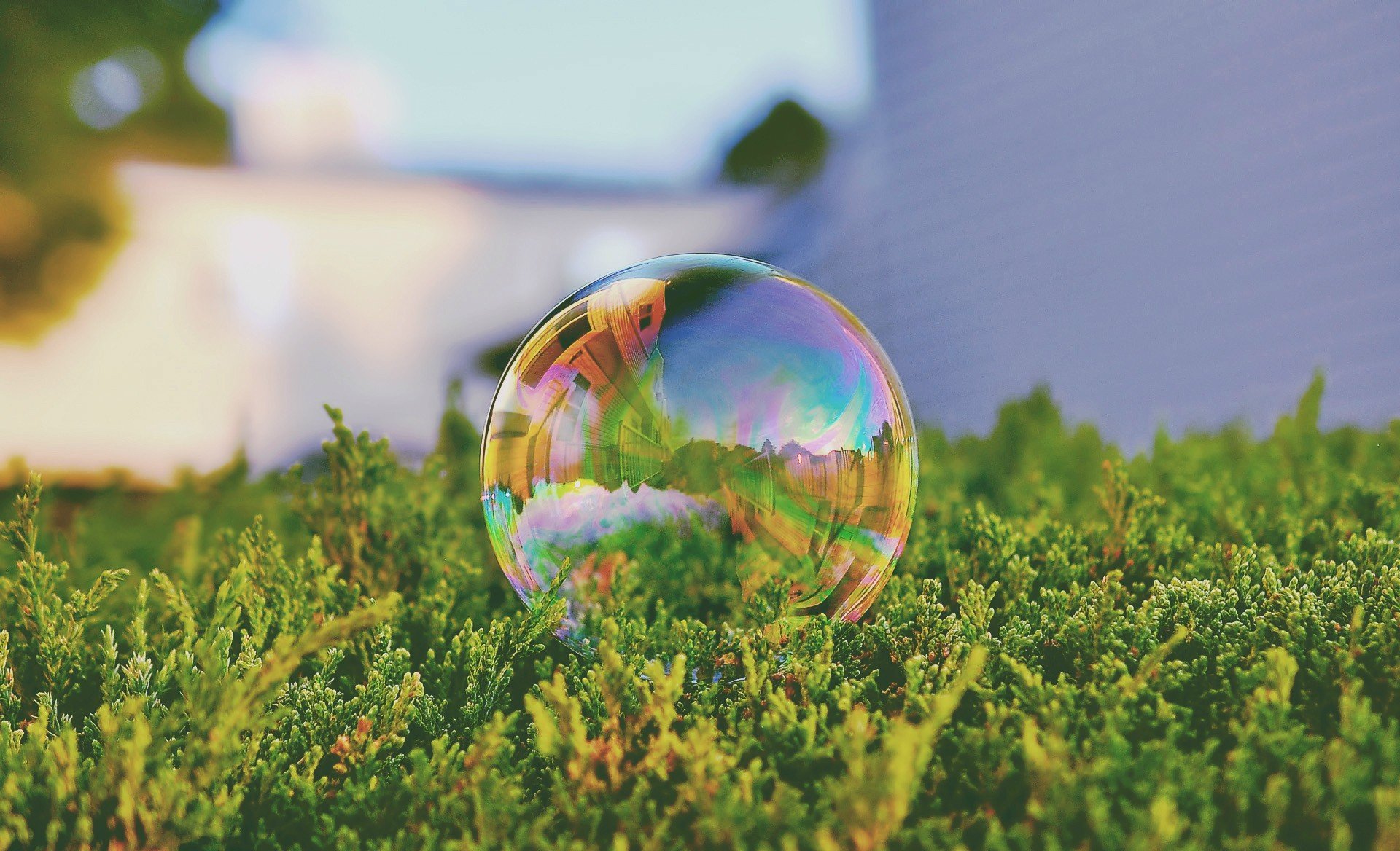 photography Wallpaper