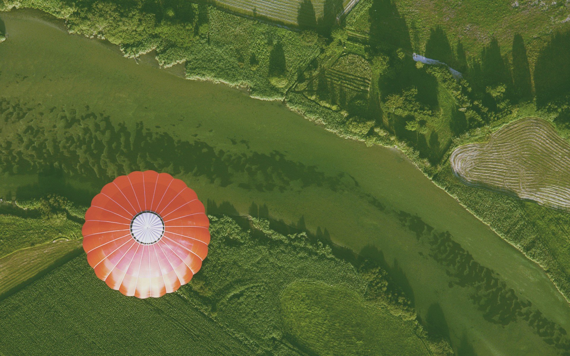 hot air balloons Wallpaper