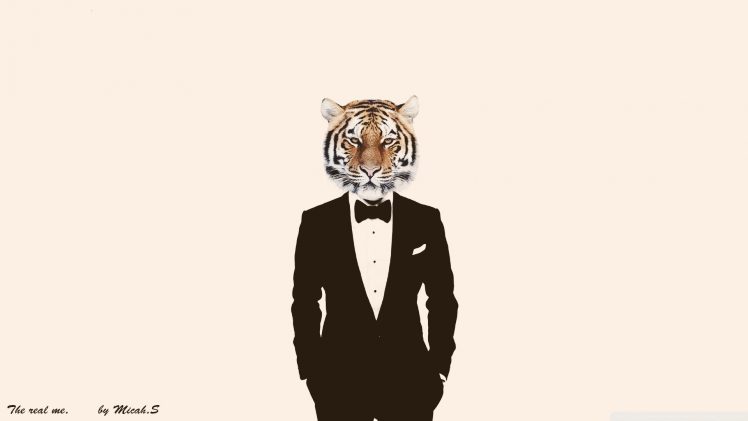 photo manipulation, Tiger, Suits HD Wallpaper Desktop Background