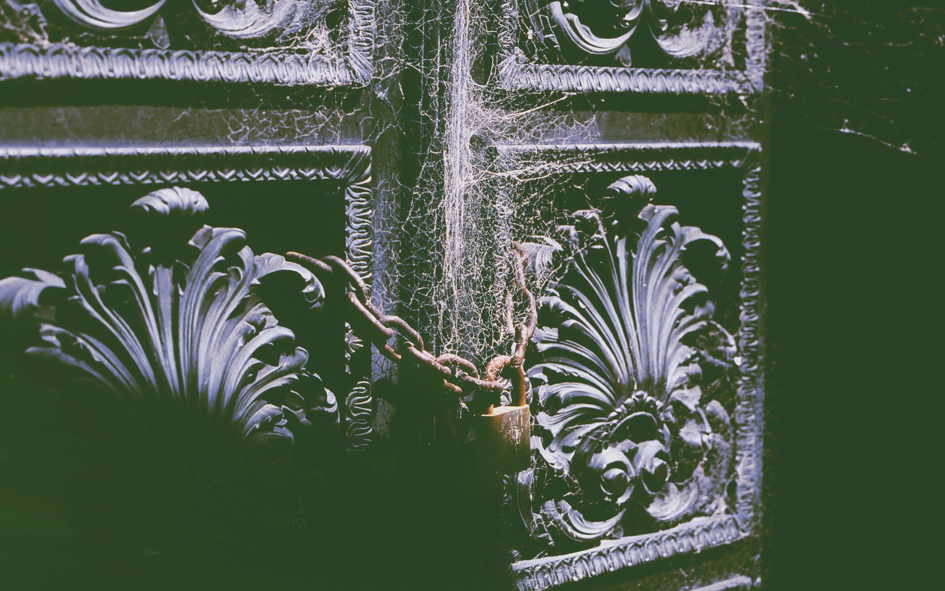 spider, Horror Wallpaper