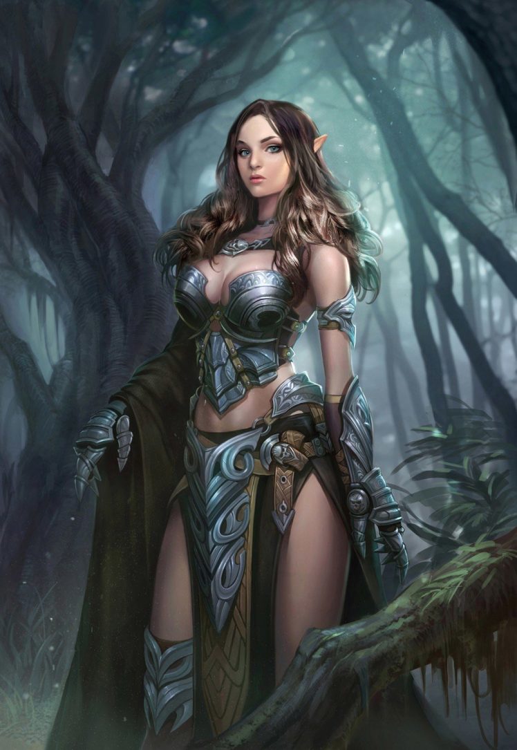 warrior, Elves HD Wallpaper Desktop Background