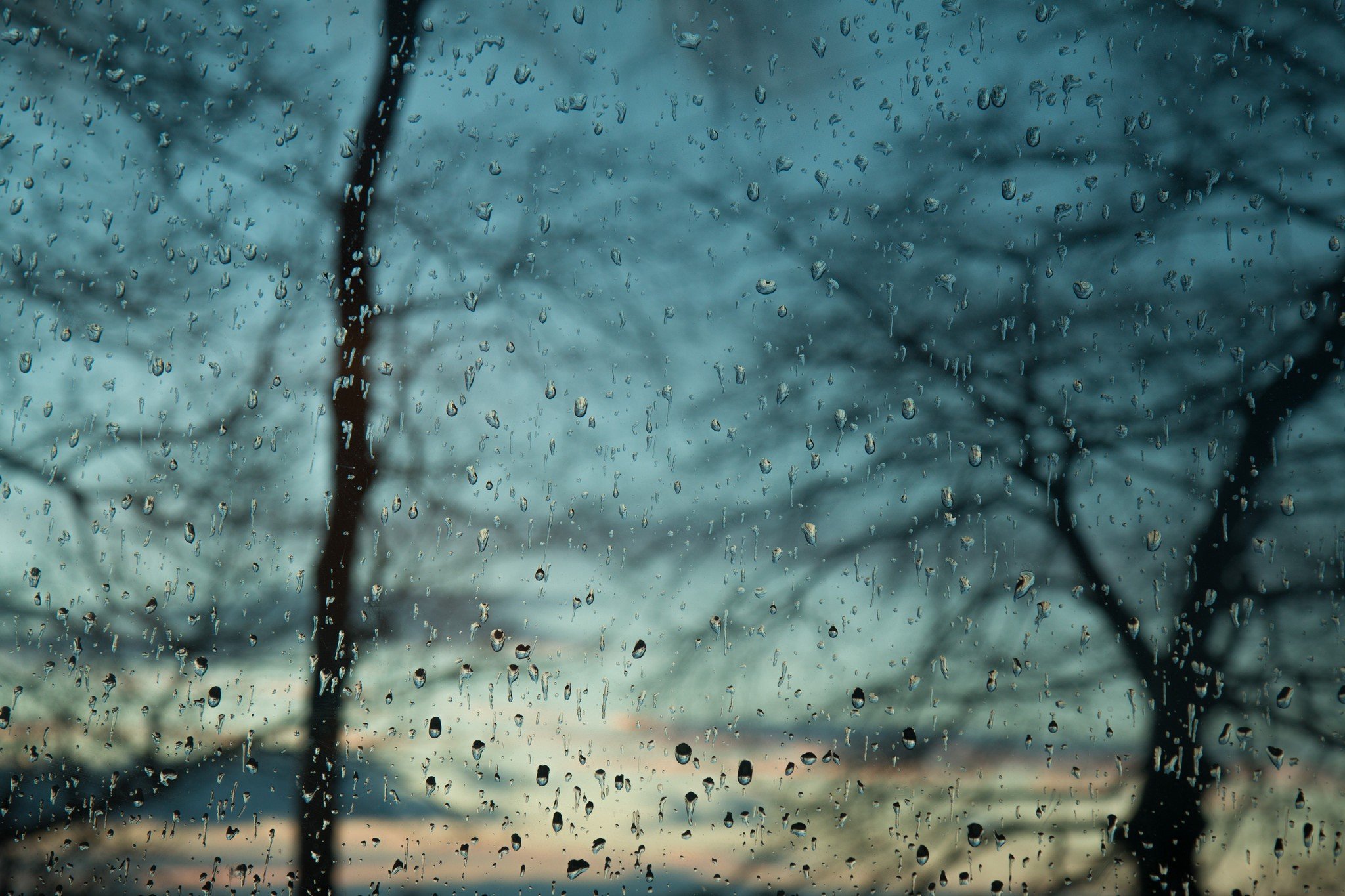 water drops, Window, Trees Wallpaper