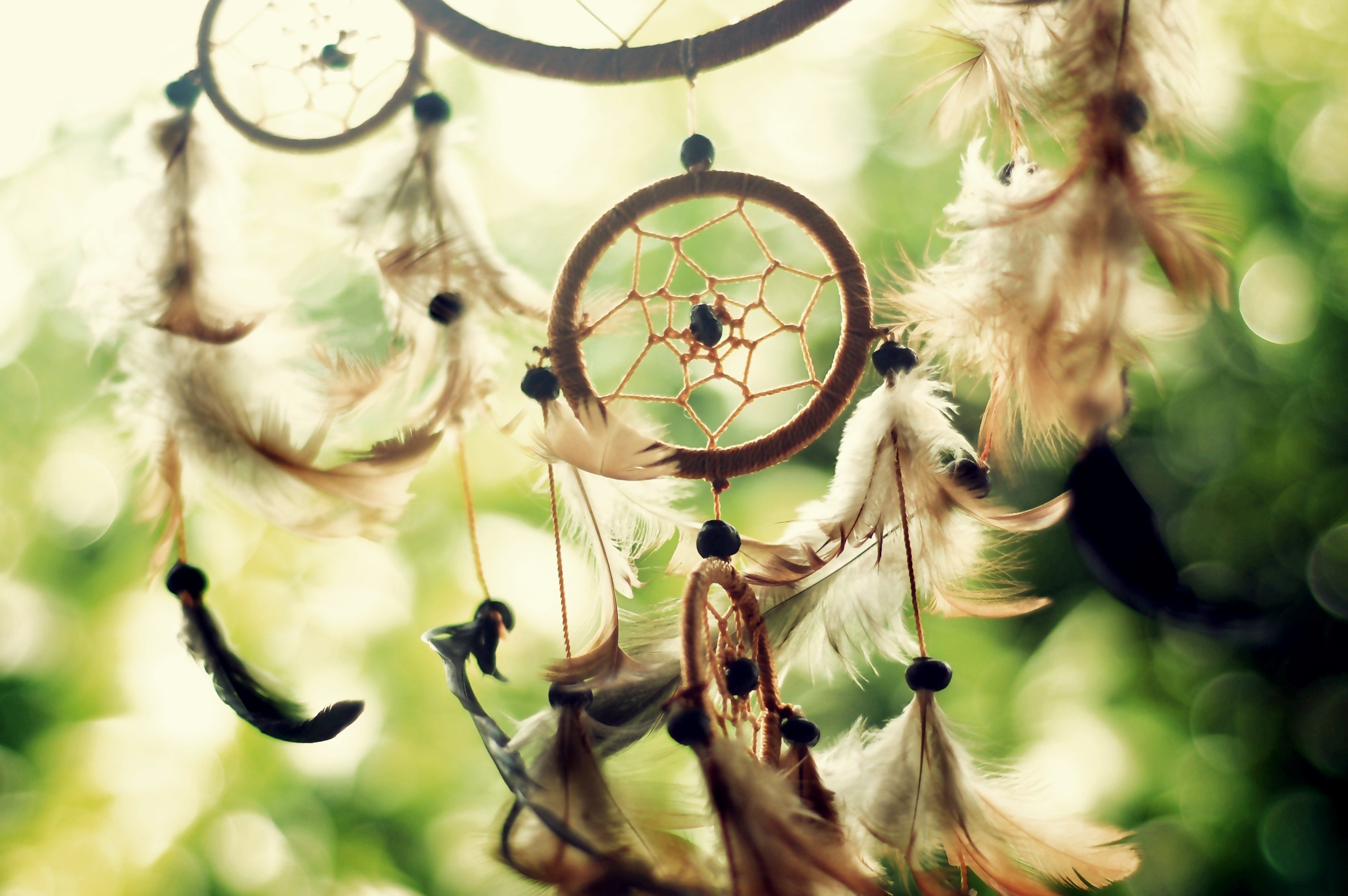 feathers, Culture, Dreamcatchers, Macro Wallpaper