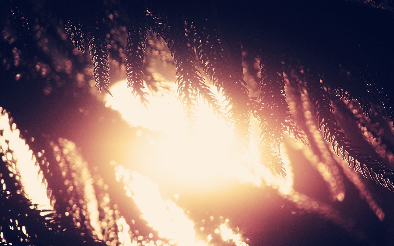 Sun Wallpaper