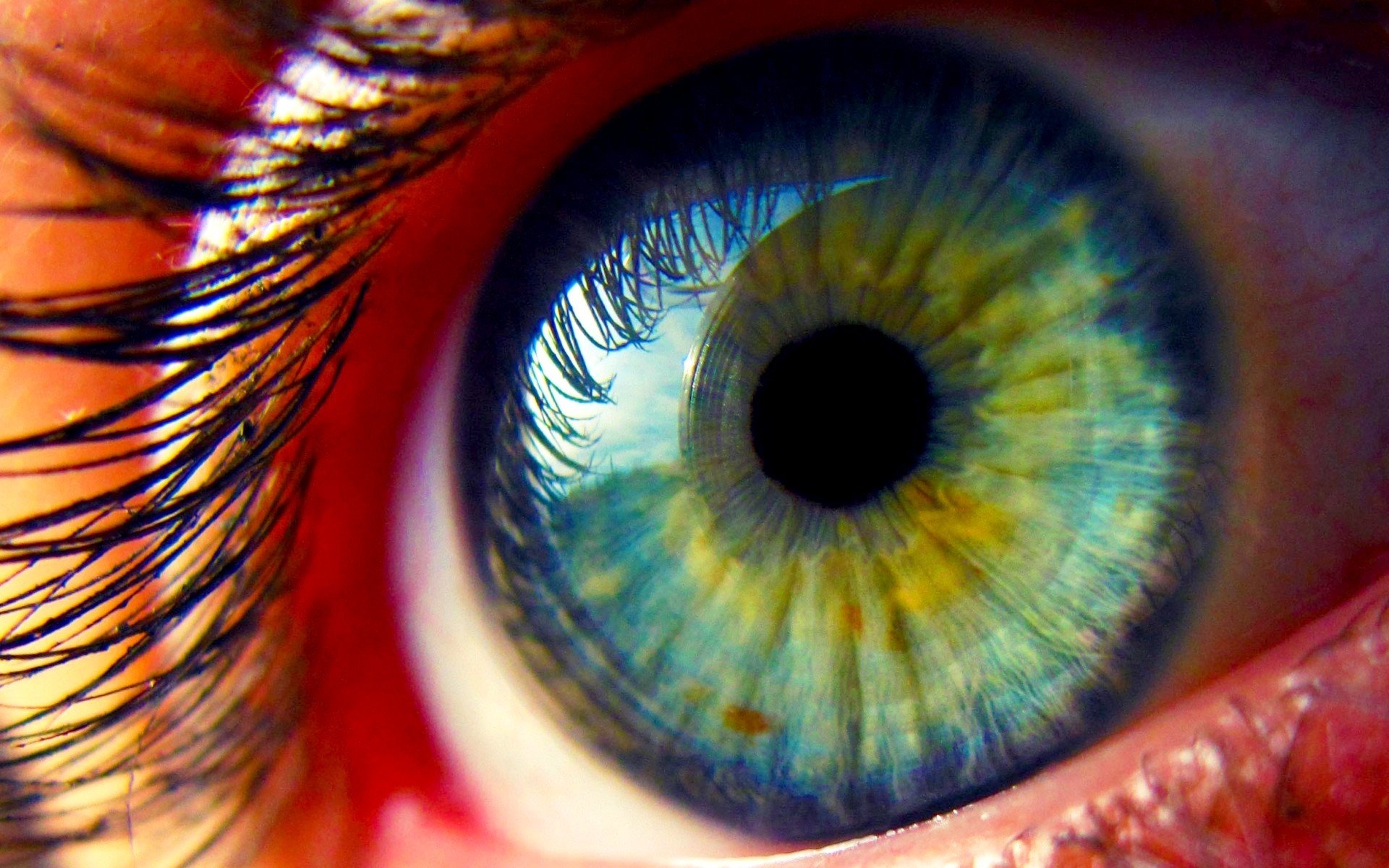 Macro Eyes Wallpapers HD Desktop And Mobile Backgrounds Macro Eyes Wallpapers HD Desktop And Mobile Backgrounds