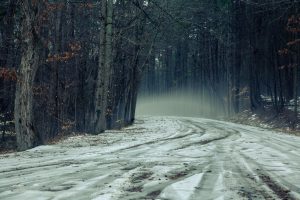 snow, Trees, Road