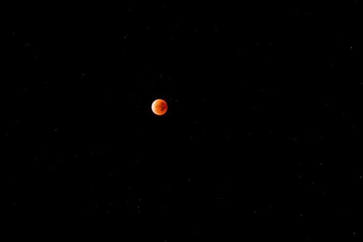 moon, Night, Red moon HD Wallpaper Desktop Background