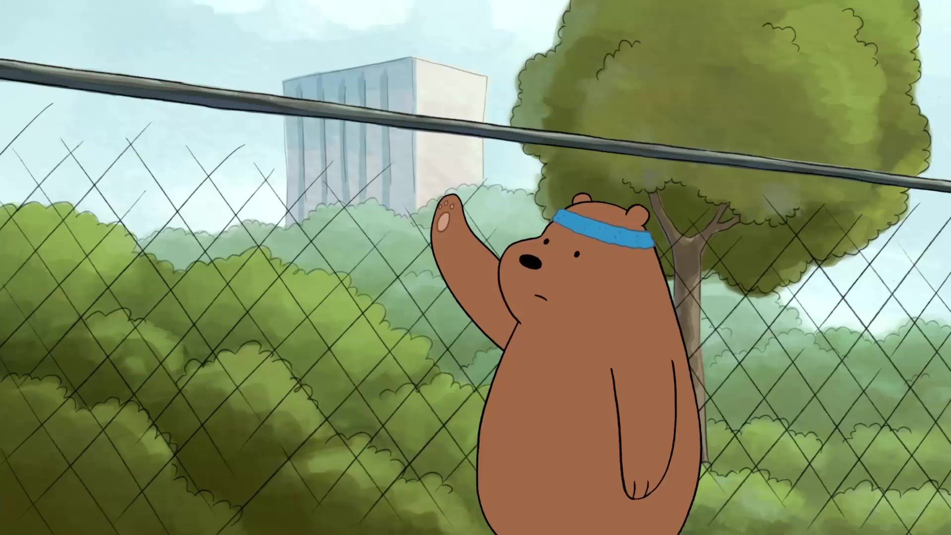 WeBareBears, Capture Wallpaper